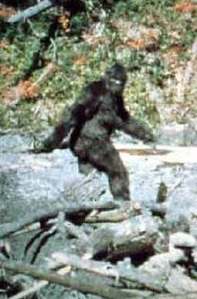 Bigfoot pic